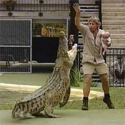 Moartea lui Steve Irwin, in mainile sotiei