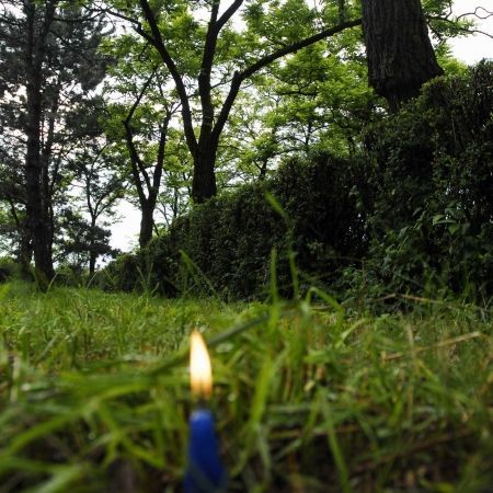 Gemenele spanzurate: spovedania tatalui
