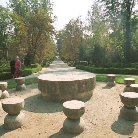 Brancusi, minunile fara sfarsit