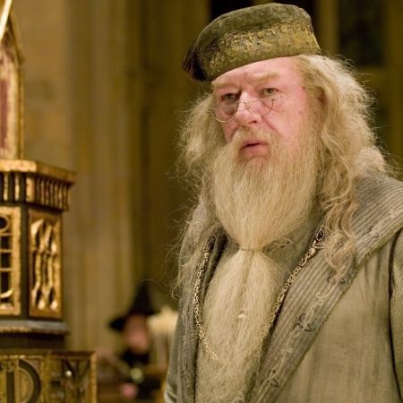 "Harry Potter" are personaje gay
