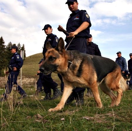 Cazul „Elodia“, o poveste cu repetiţie