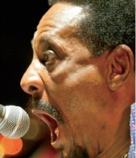 "Parintele rock'n'rollului", Ike Turner, mort la 76 de ani