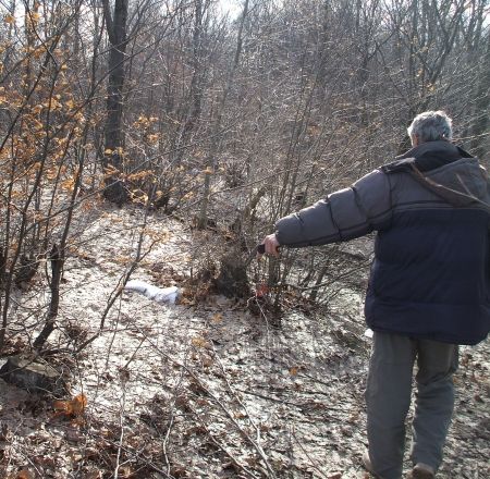 Jaf în pădurile din Plopana