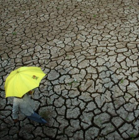 Plantele care ignoră seceta