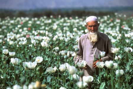Afganistanul, principalul furnizor de heroina şi opium
