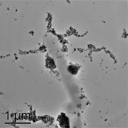 Curent electric cu ajutorul bacteriilor