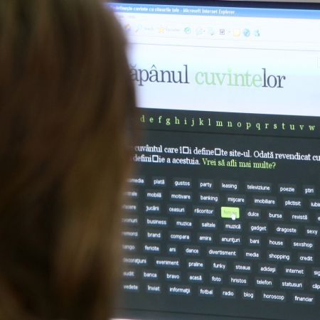 Cuvinte din DEX, de vânzare pe internet