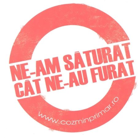 Guşă, "şicanat" politic