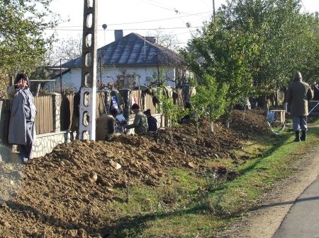 Deţinuţii, cei mai serioşi muncitori