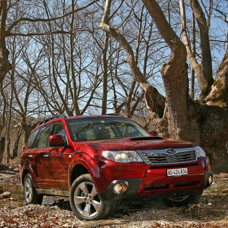 Forester, chip de SUV
