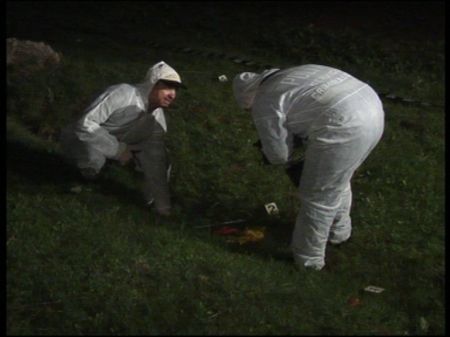 Sfâşiată de maidanezi pe pământul nimănui