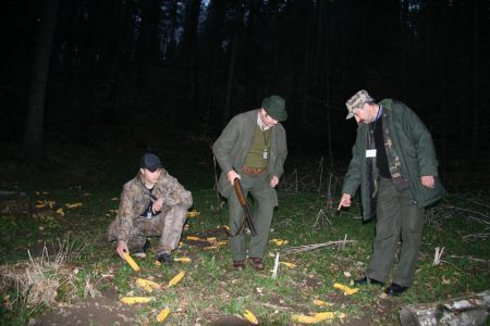Sinaia: silvicultorii numără urşii din Parcul Natural Bucegi