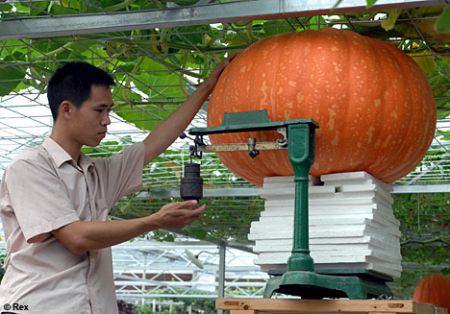 Chinezii cultivă legume uriaşe în spaţiu