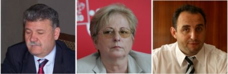 PDL defilează la Alba-Iulia sub privirile PNL şi PSD