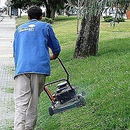 Un român, grădinar de succes în Italia