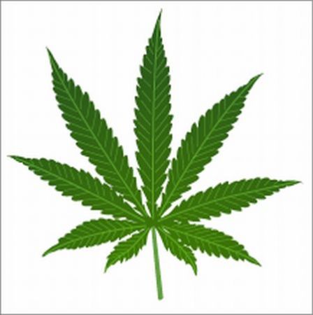Ziua Internaţională a legalizării marijuanei