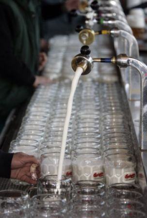 Dinastia Budweiser, „alungată“ de străini