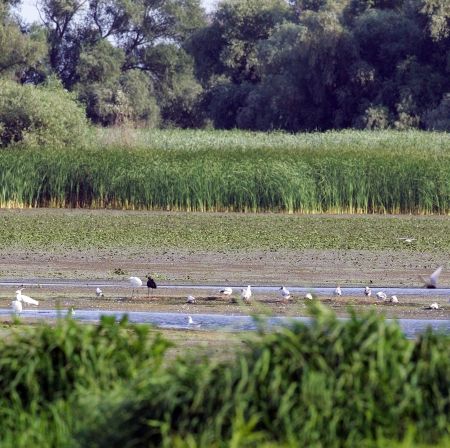 Delta Dunării, paradisul pierdut