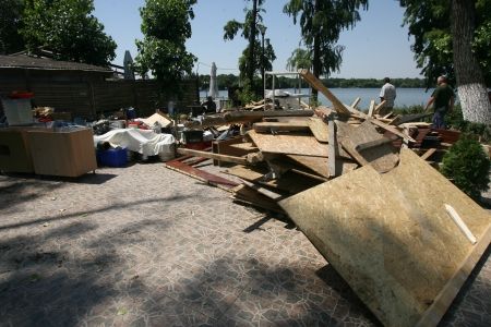 Sorin Oprescu a smuls Orhideea din Herăstrău