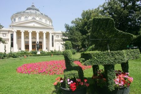 Statui din plante răsar în Bucureşti