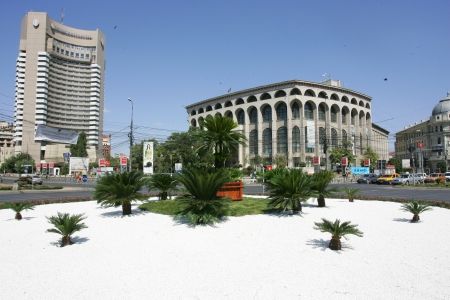 Ceasul de la Universitate, înlocuit cu un palmier