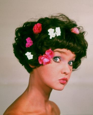 Margareta Pâslaru, 50 de ani de la debut