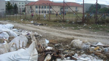 Cimitir pentru animalele moarte improvizat lângă şcoală