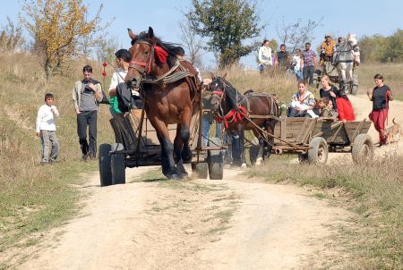 Concurs de parcat căruţa cu spatele