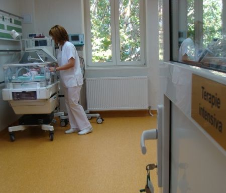 Filantropia, cea mai luxoasă maternitate de stat