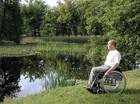 Nervii artificiali, o soluţie pentru paralizie