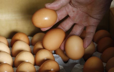Alimentele şi telefonia saltă inflaţia