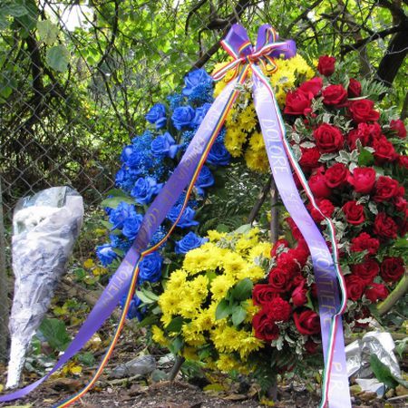 Autorităţilor italiene nu le pasă de Giovanna Reggiani
