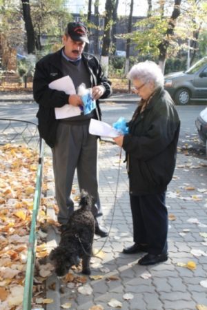 Curăţenia după căţel, între amendă şi bun-simţ