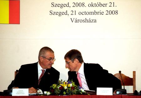 Leul va rezista cu ajutor de la vecini