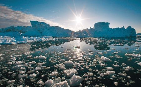 Algele marine, în luptă contra încălzirii globale