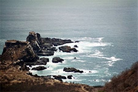 Paradisul din Galapagos îşi pierde ţestoasele