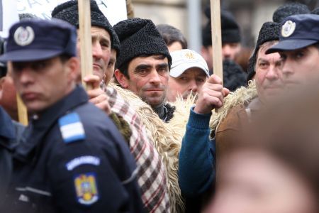 Ciobanii protestează ca să-şi apere brânza