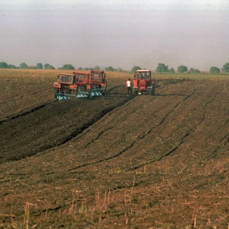 Agricultorii românii se înghesuie la subvenţiile europene