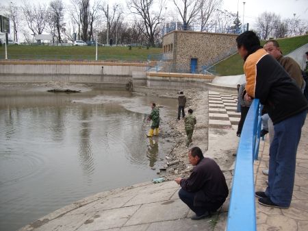 Chinezii, pescari de criză