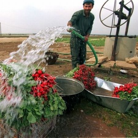 În mai, seceta şi îngheţul pun agricultura la pământ
