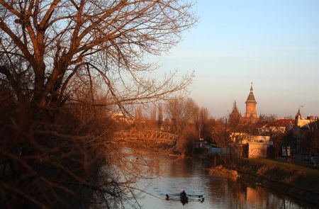 Perdele forestiere pentru combaterea poluării