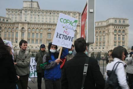 Spaţiile verzi, lăsate la mâna deputaţilor