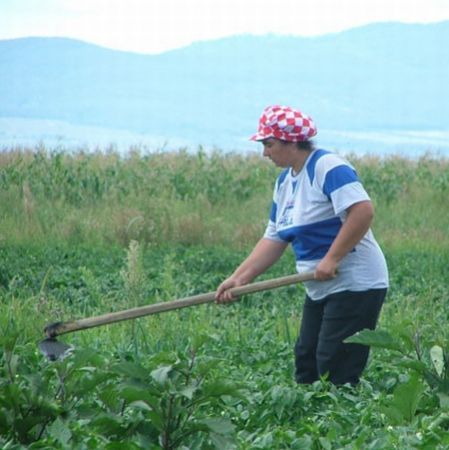 Agricultorii nu primesc subvenţii pentru îngrăşăminte