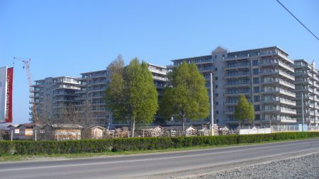 Criza a îngheţat litoralul