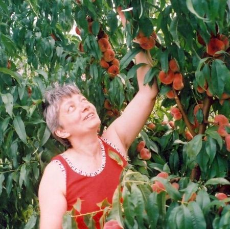 Fasolea fără gaze, vânăta albă şi pepenele fără sâmburi
