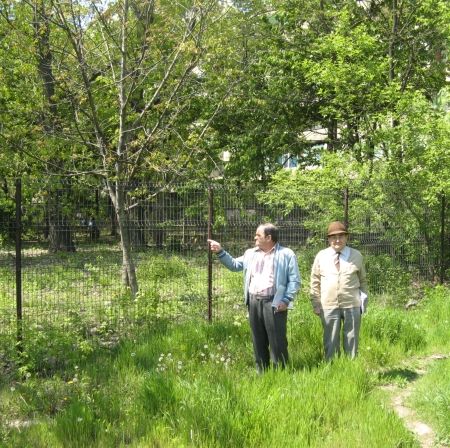 Zonă verde câştigată în instanţă