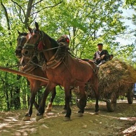 Afaceri la ţară, cu bani europeni