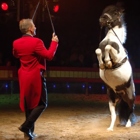 Două săptămâni de circ în Capitală