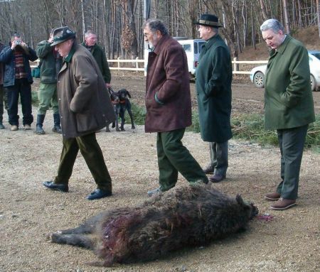 Ţiriac a renunţat la Balc