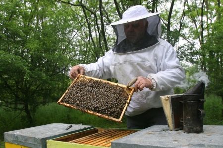 Transhumanţă după nectar
